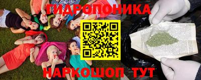 винт Аша