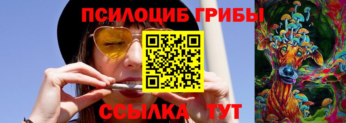 Владикавказ  Галлюциногенные грибы Magic Shrooms  Псилоцибиновые грибы MAGIC MUSHROOMS  Вход с VPN 